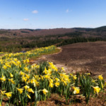 Anniversaire de macorreze.fr